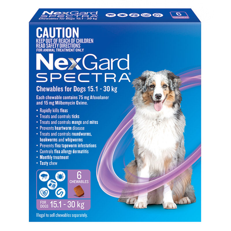 Nexgard small shop dog 6 pack