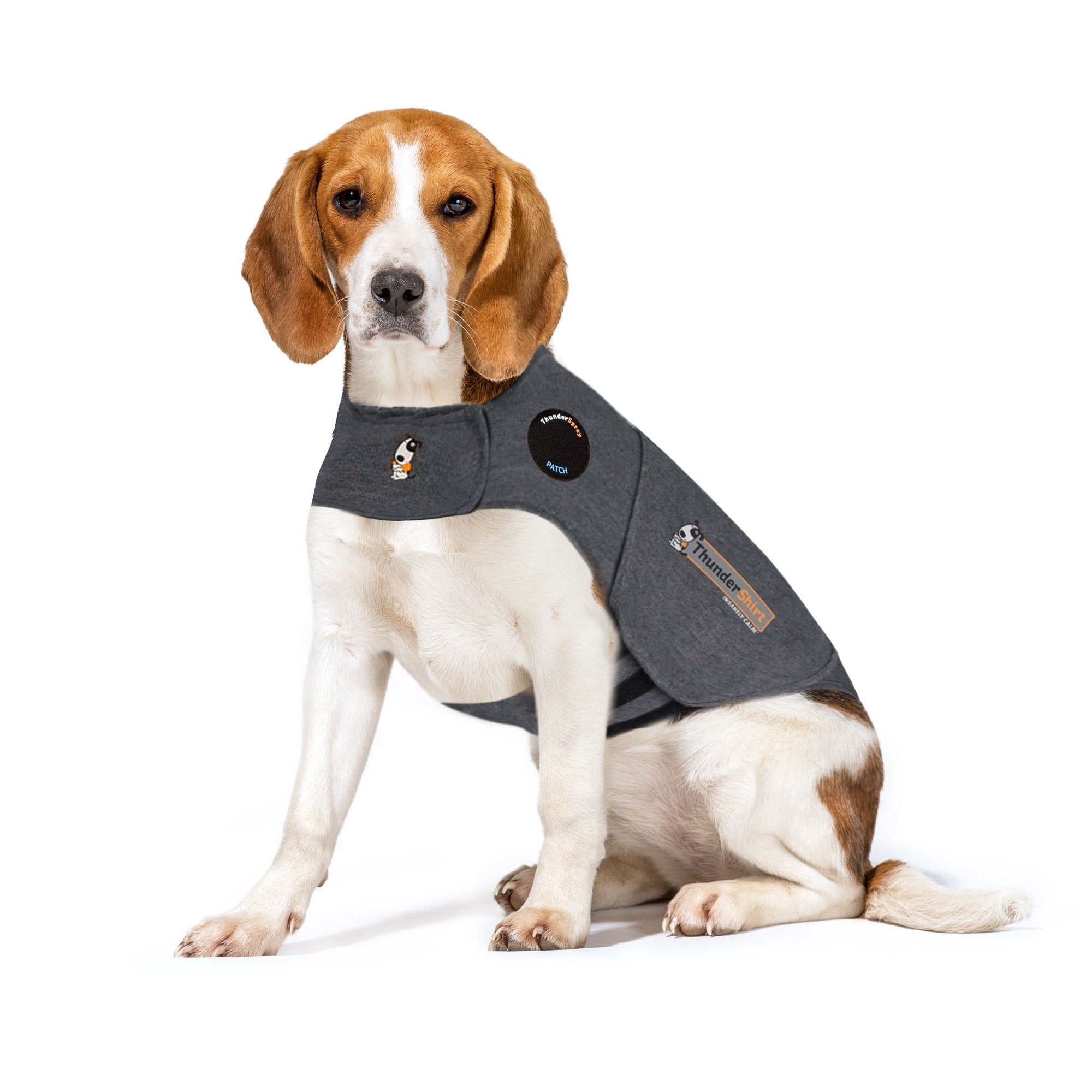 Petstock thundershirt shop