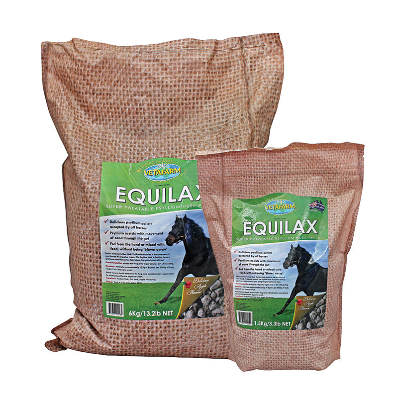 Psyllium husk for top dogs