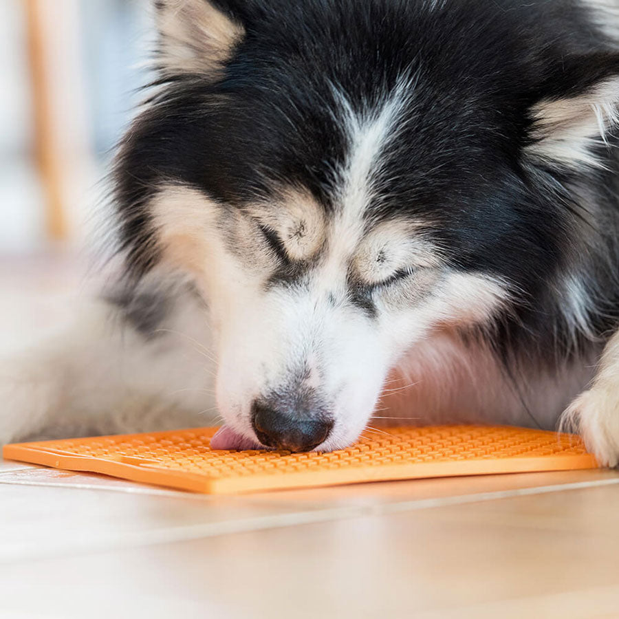 Lickimat Buddy Original Licking Mat for Cats & Dogs