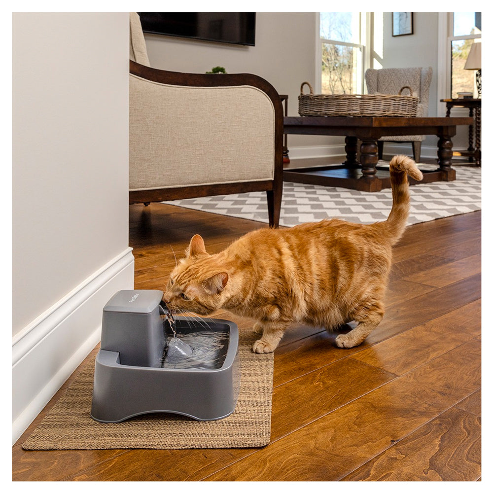 Drinkwell pet clearance fountain