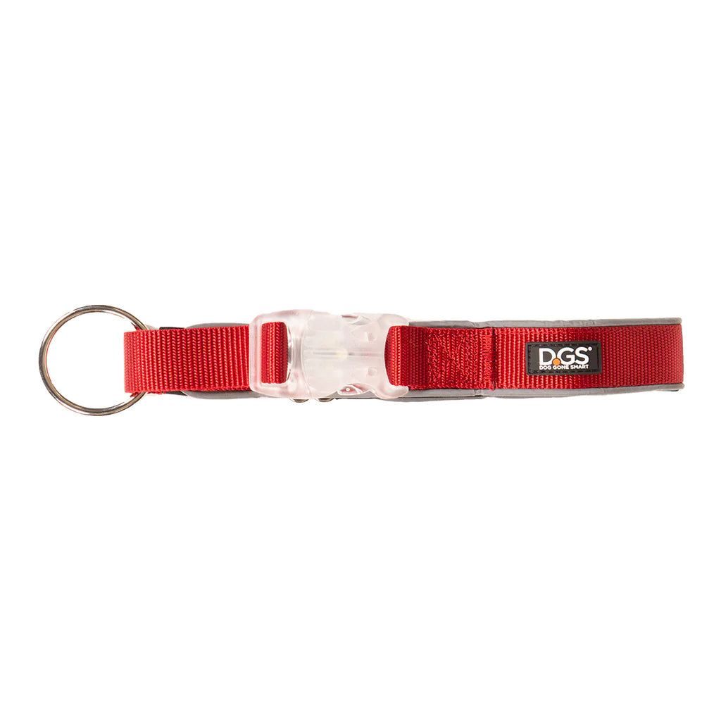 DGS Comet LED Safety Collar