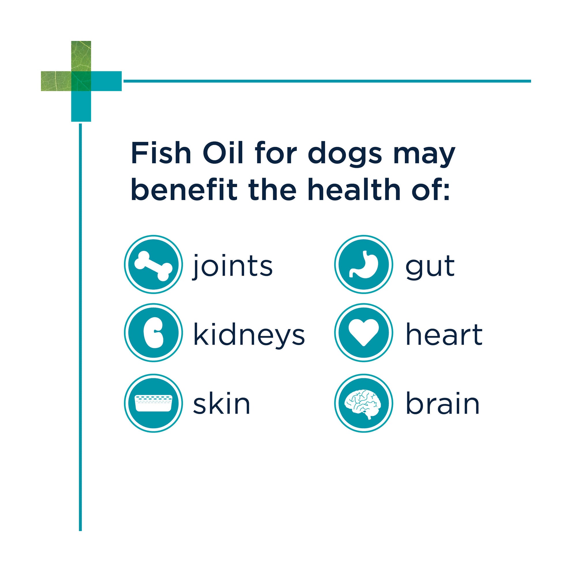 does fish oil help dogs with fleas