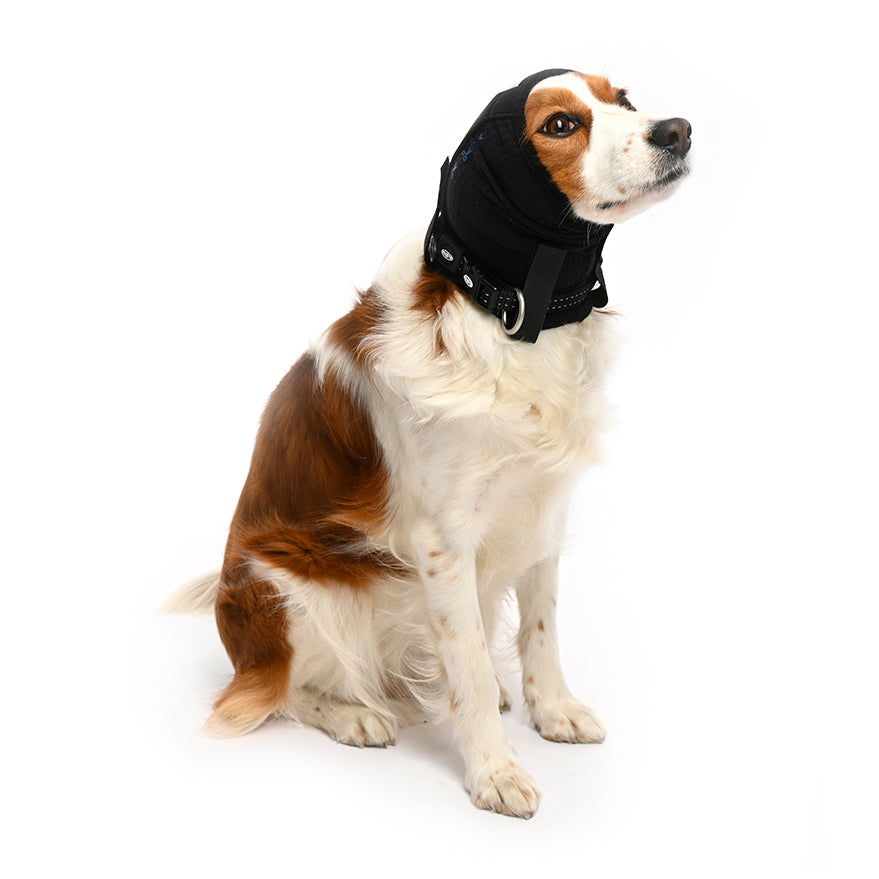 Dog ear outlet harness