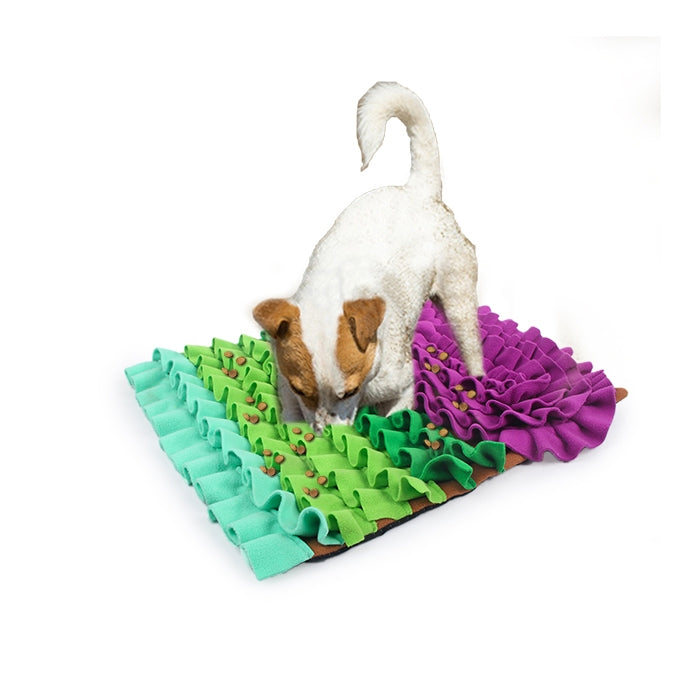 Dog treat hotsell hiding mat