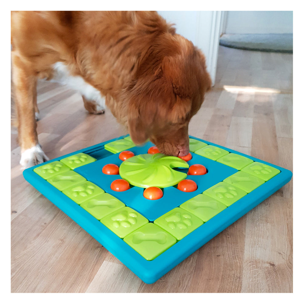 Nina Ottosson Advanced Multipuzzle Toy - Review 