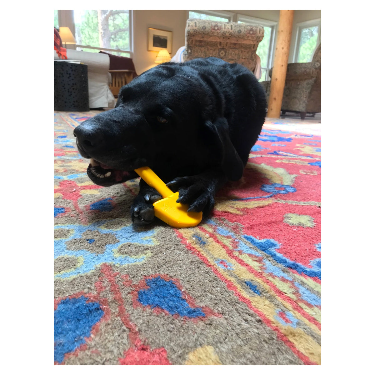 Industrial Dog Nylon Shovel Dog Chew Toy