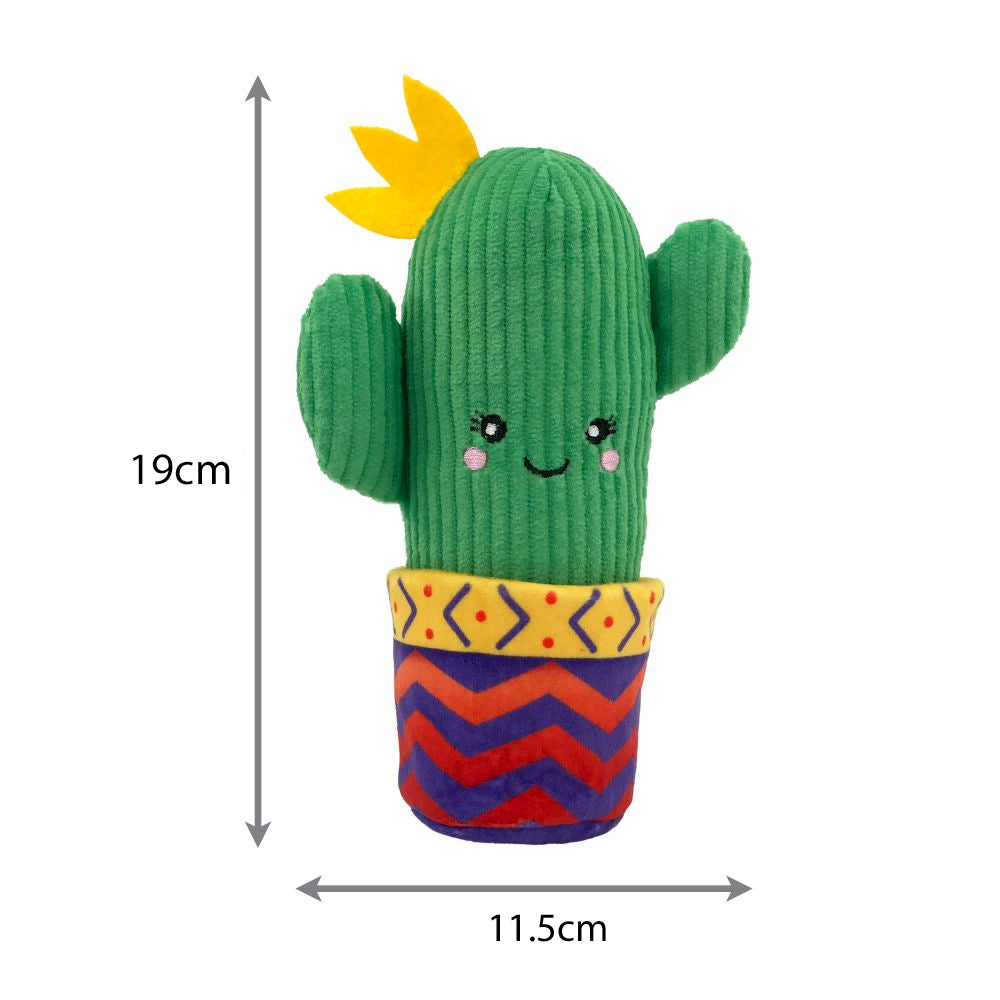 Cactus shop cat toy